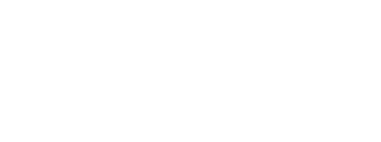 Сеть лидеров